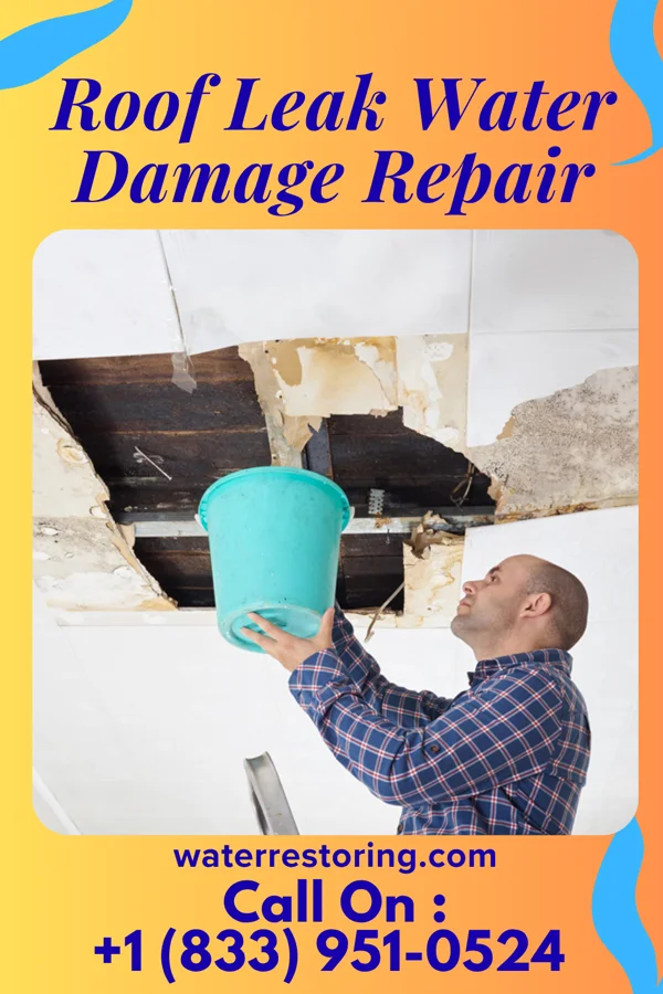 Roof Leak Water Damage Repair in Alcoa, TN