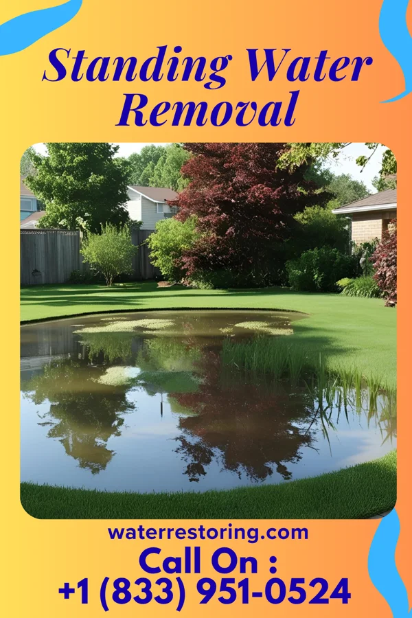 Standing Water Removal in Alcoa, TN